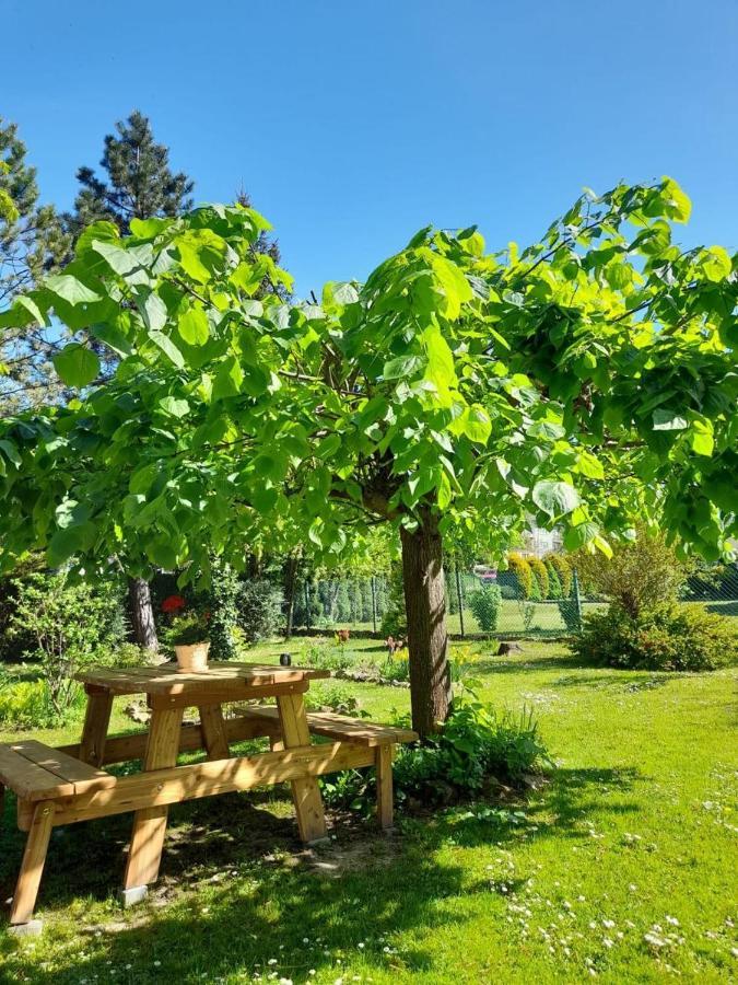 Agroturystyka Stokrotka Rymanów-Zdrój Esterno foto