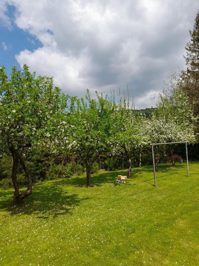 Agroturystyka Stokrotka Rymanów-Zdrój Esterno foto