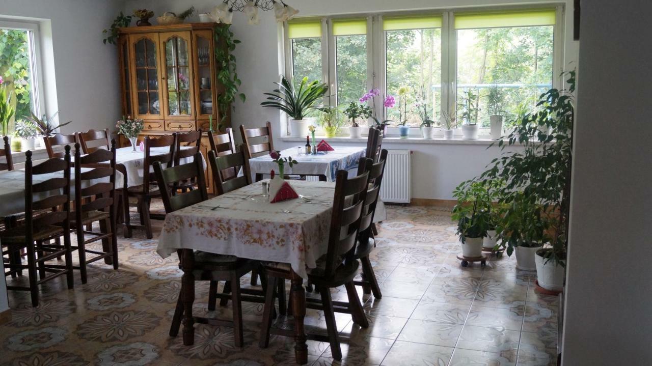 Agroturystyka Stokrotka Rymanów-Zdrój Esterno foto